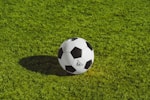 国际田径联合会标志